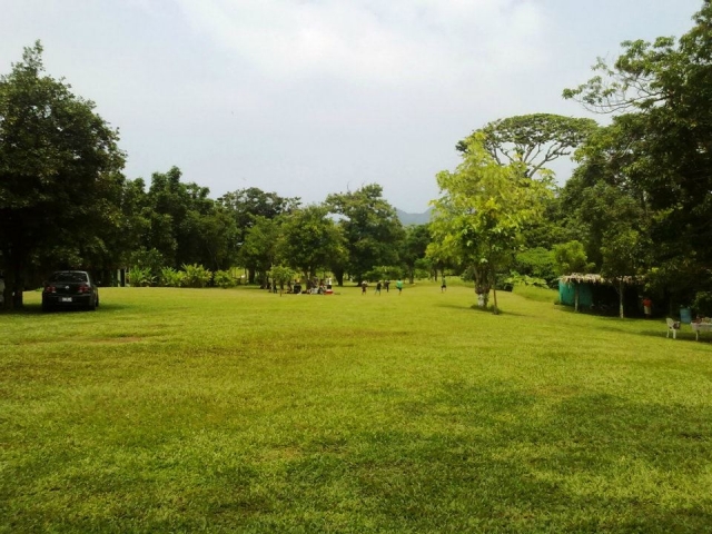 Caminatas en Veracruz